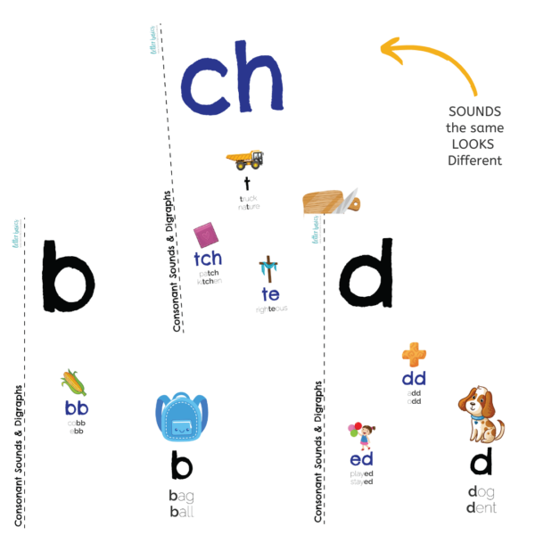 Stage 9 Pack: Tricky Consonant Spellings